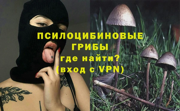 стаф Бабаево