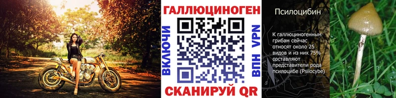 что такое наркотик  Райчихинск  mega ТОР  Псилоцибиновые грибы GOLDEN TEACHER 